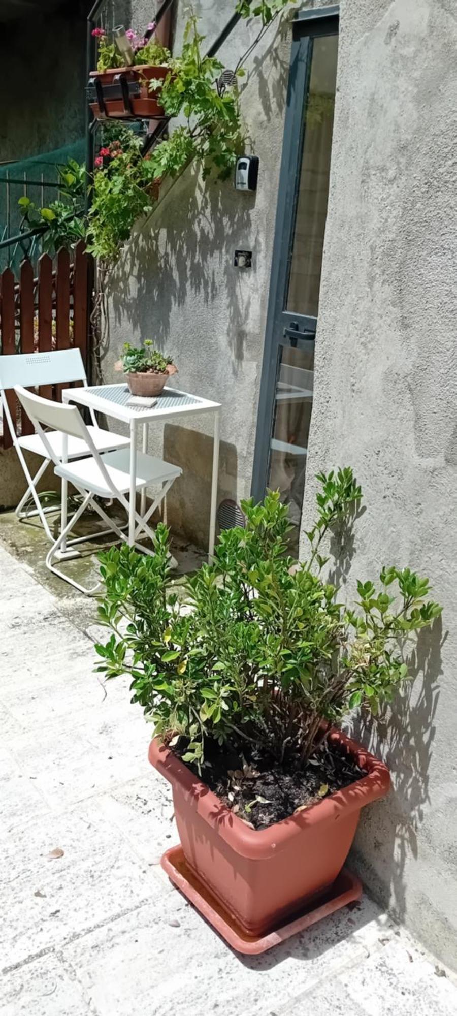 Nicolas House 캄필리아 도르시아 외부 사진